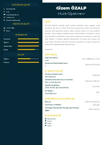 Müzik Öğretmeni Cv Örnekleri cv indir